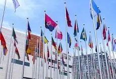 完美足球官网-曼联vs布莱顿比分