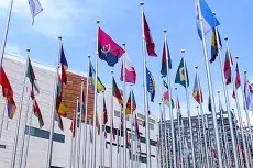 完美足球官网-曼联vs布莱顿比分